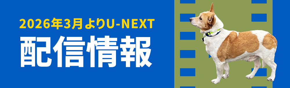 配信情報