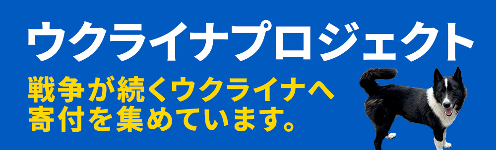 ウクライナプロジェクト